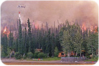Waldbrand 2004, der Löschhelikopter kreist unmittelbar hinter der Lodge